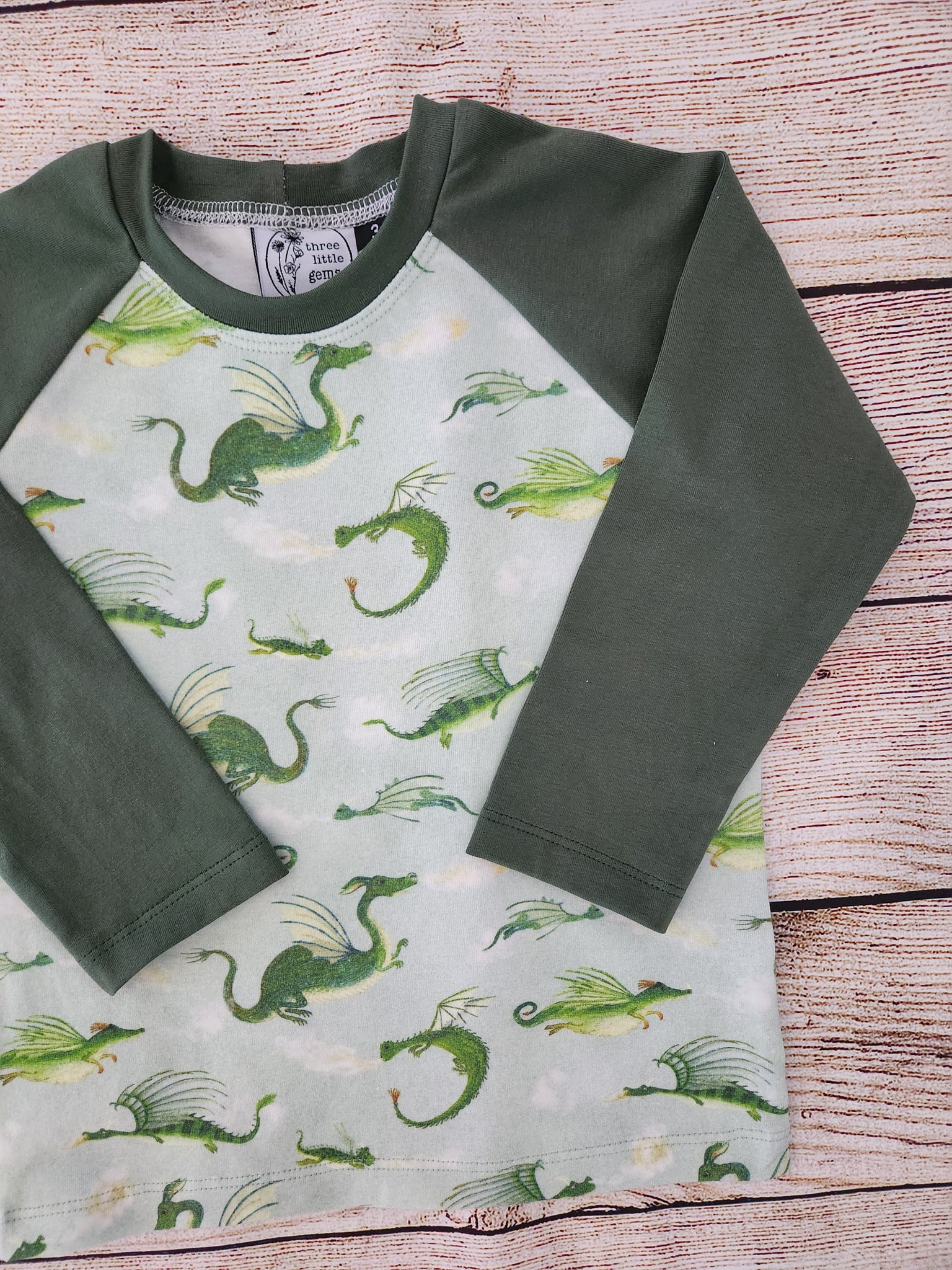 Flight of Dragons Raglan Tee- Pre Order